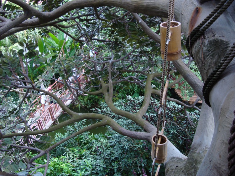 Swiss-Family-Treehouse-4