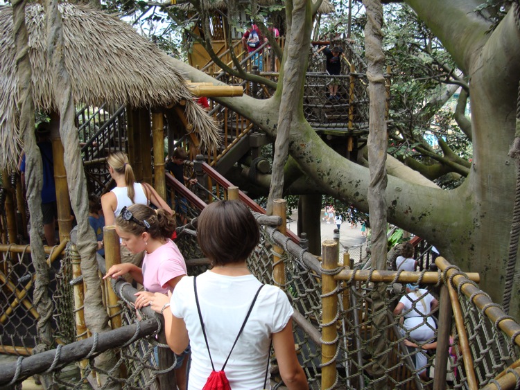 Swiss-Family-Treehouse-7