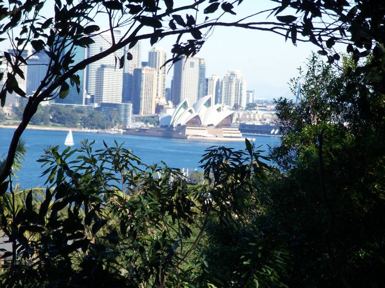 Sydney from Toronga zoo