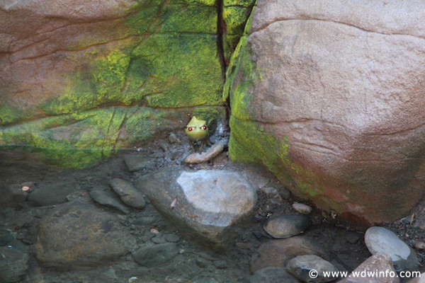 Tangled rest area - one of Pascal's hidden friends