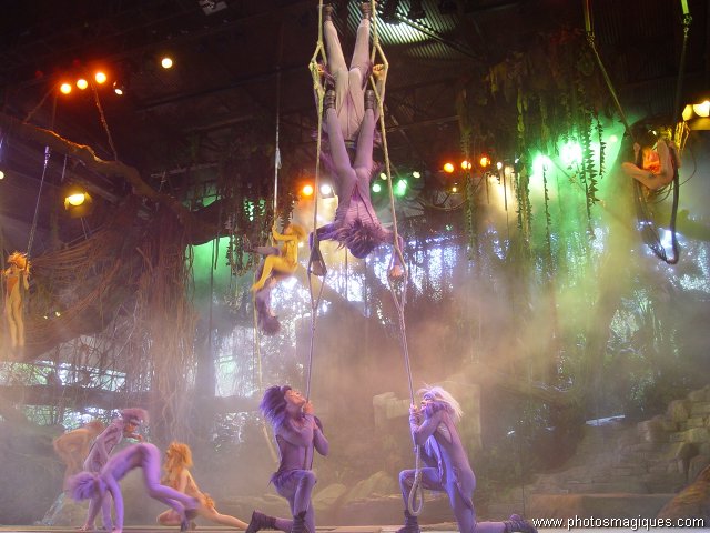 Tarzan - the encounter show