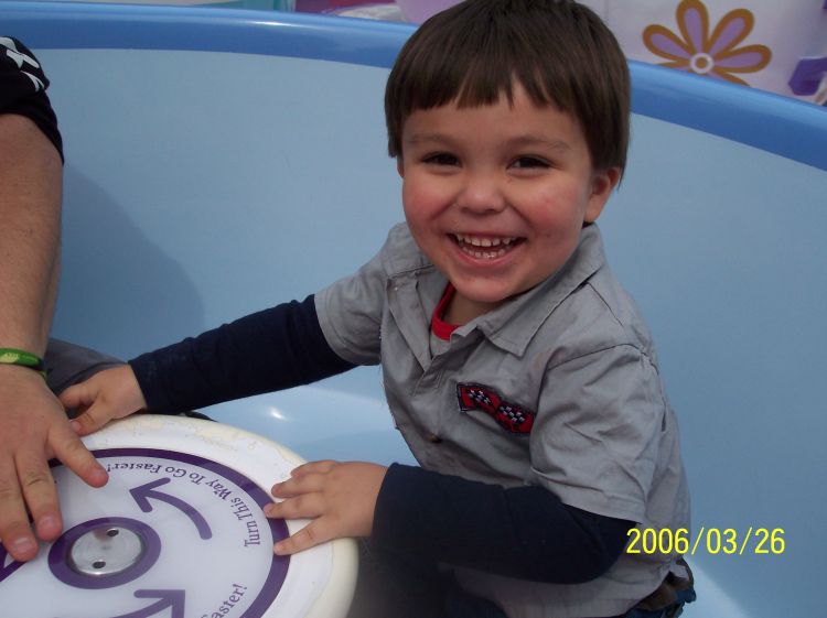 TEA CUPS