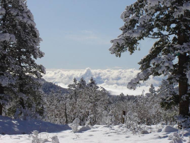 tempinversion