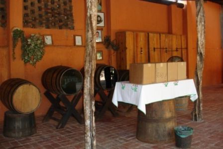 tequila1