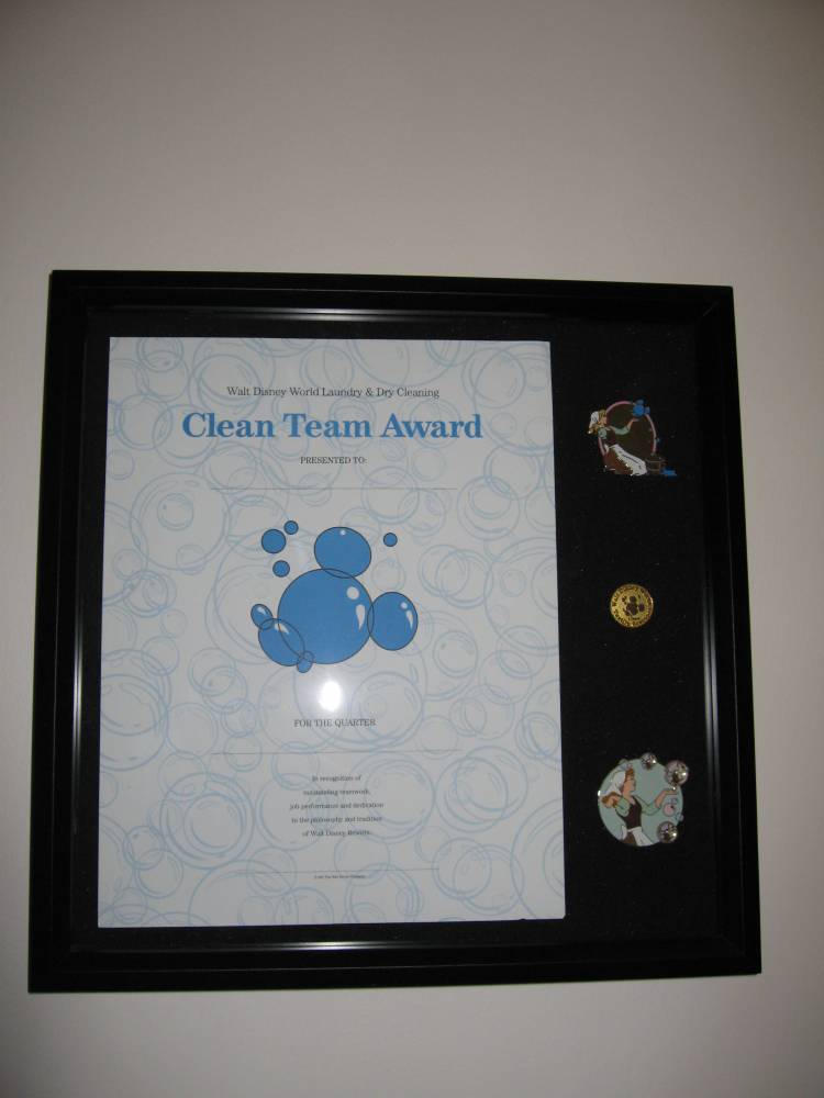 Textile Services Framed Pins
