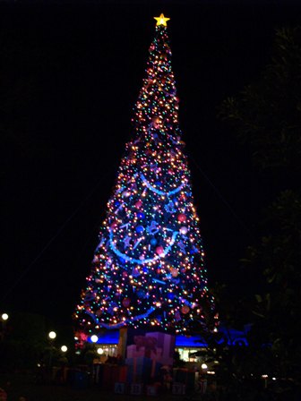 The 2k5 MK Tree