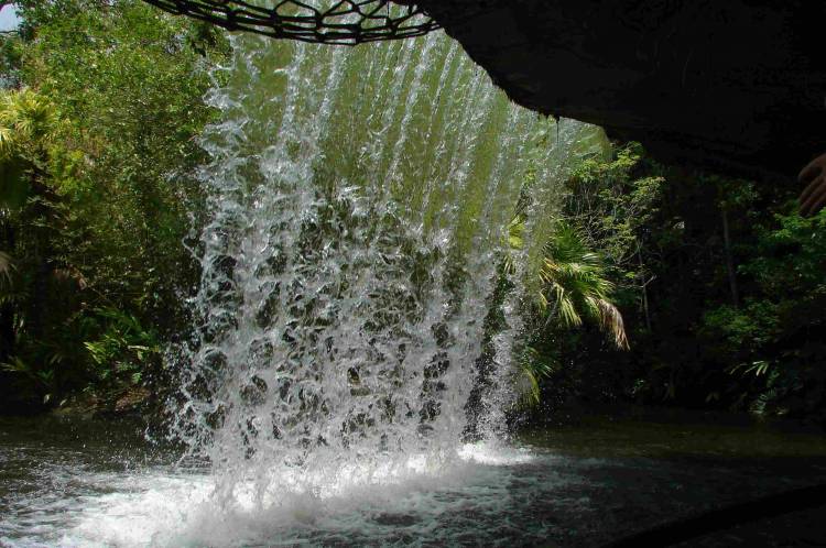 the back of water