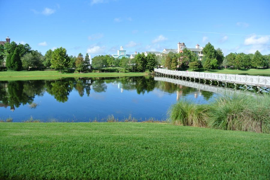 the bridge