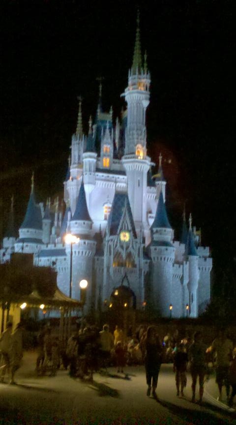 The Castle at Night