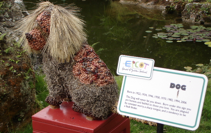 The Chinese Zodiac - Year of the Dog