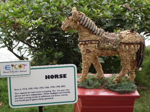 The Chinese Zodiac - Year of the Horse