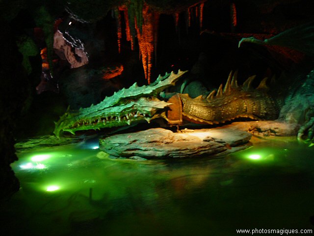The Dragon