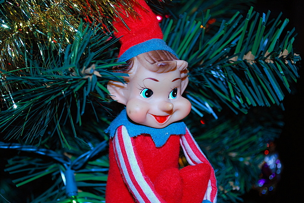 The Elf