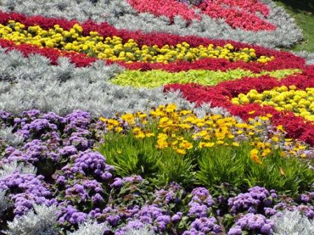The Flower and Garden Festival