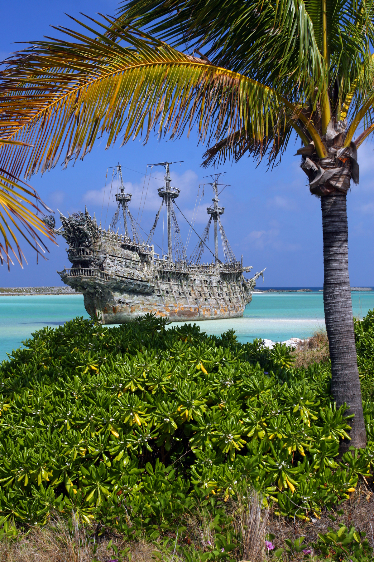 The Flying Dutchman (long)