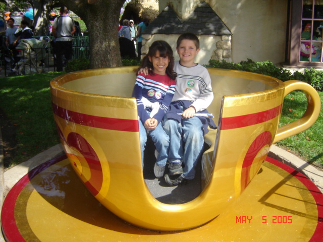 the gold teacup