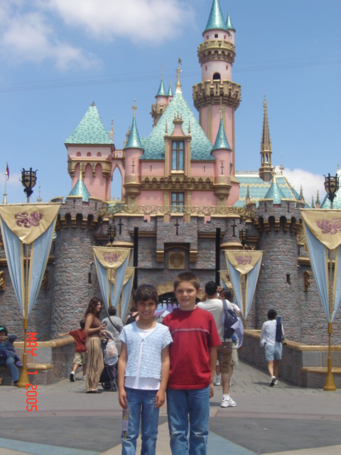 THe kids and the castle
