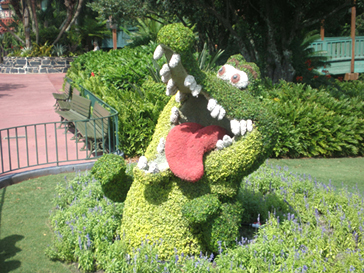 The originbal Disney Croc
