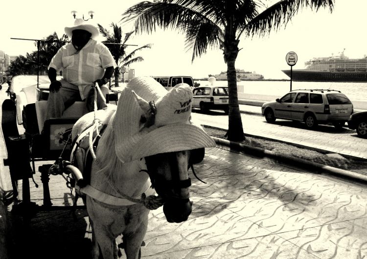 The Streets of Cozumel