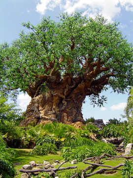 The Tree of Life
