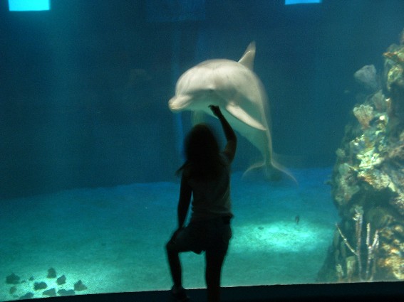 The wonder of my child
