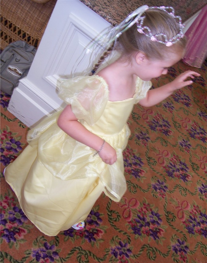 The_Princess_Wave