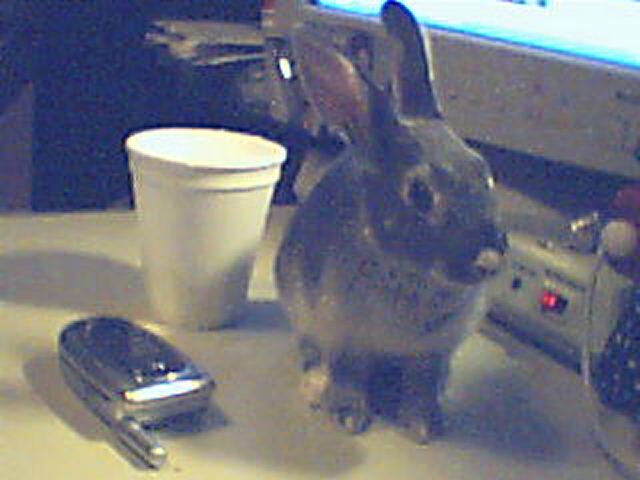 thumper21