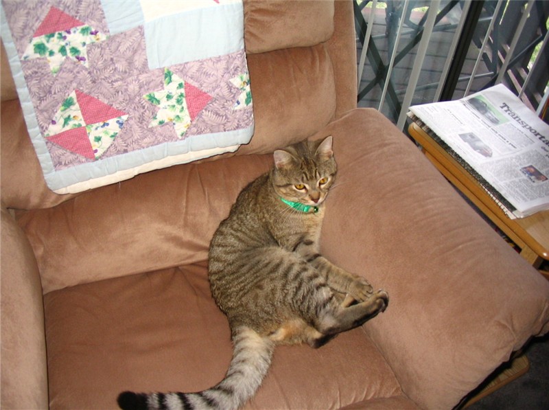 Tigger_Day_One