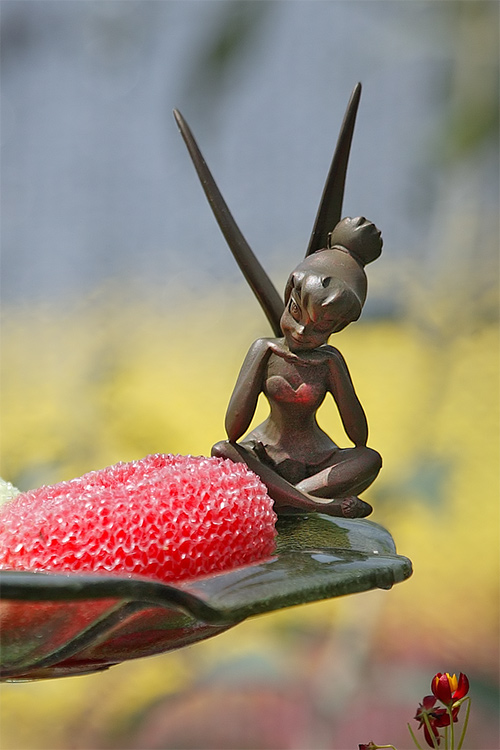 Tink at Butterfly garden