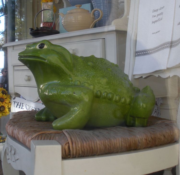 Toad