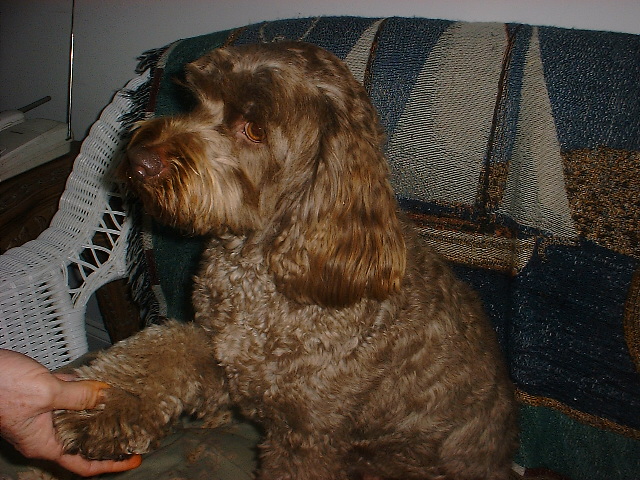 TOBY_007