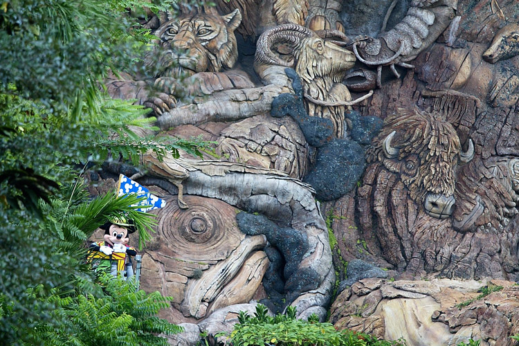 ToL Hidden Mickey