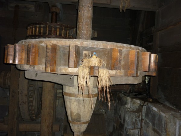 Tom_Sawyer_Island_600_x_450_