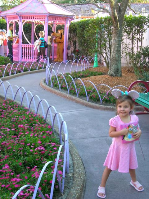 ToonTown Fair