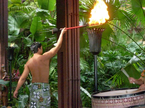 Torch_Lighting_2