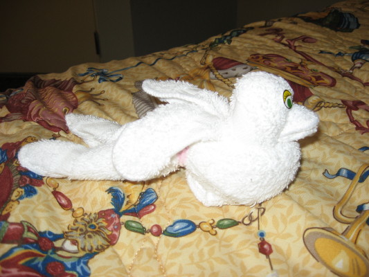 Towel animal