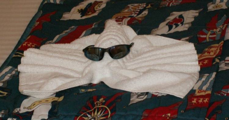 Towel Animal