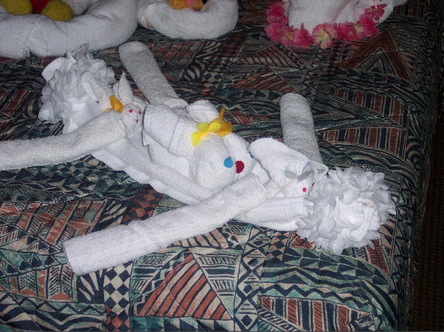 Towel Canoe