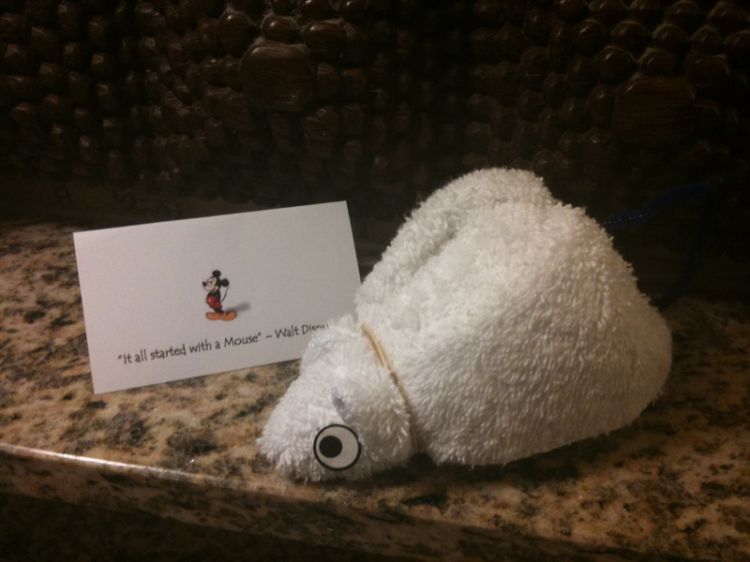 Towel Mouse