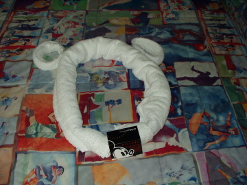 towel_animal_4
