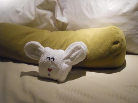 towel_bunny