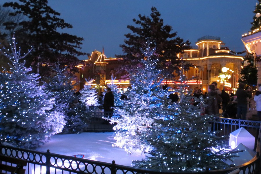 Town square Christmas trees
