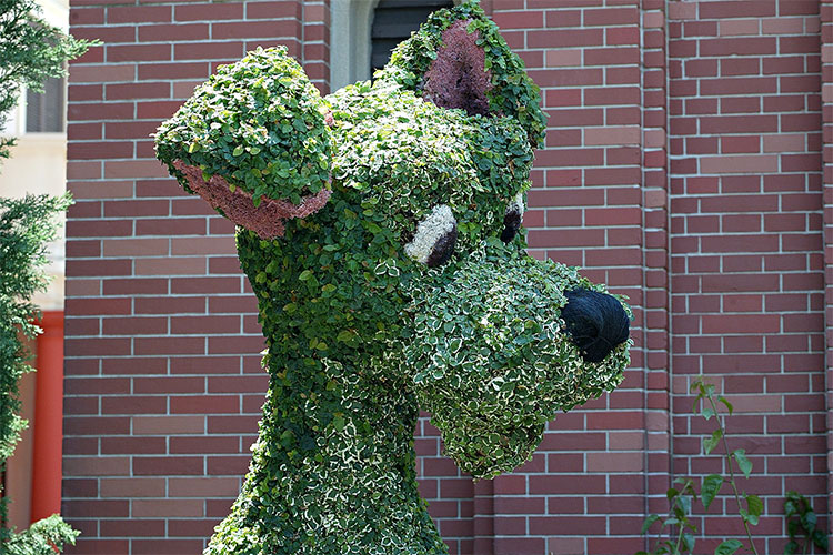 Tramp topiary