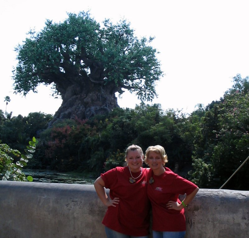 Tree of life 10/05