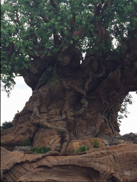 Tree Of Life 2 - AK 09-05-2017