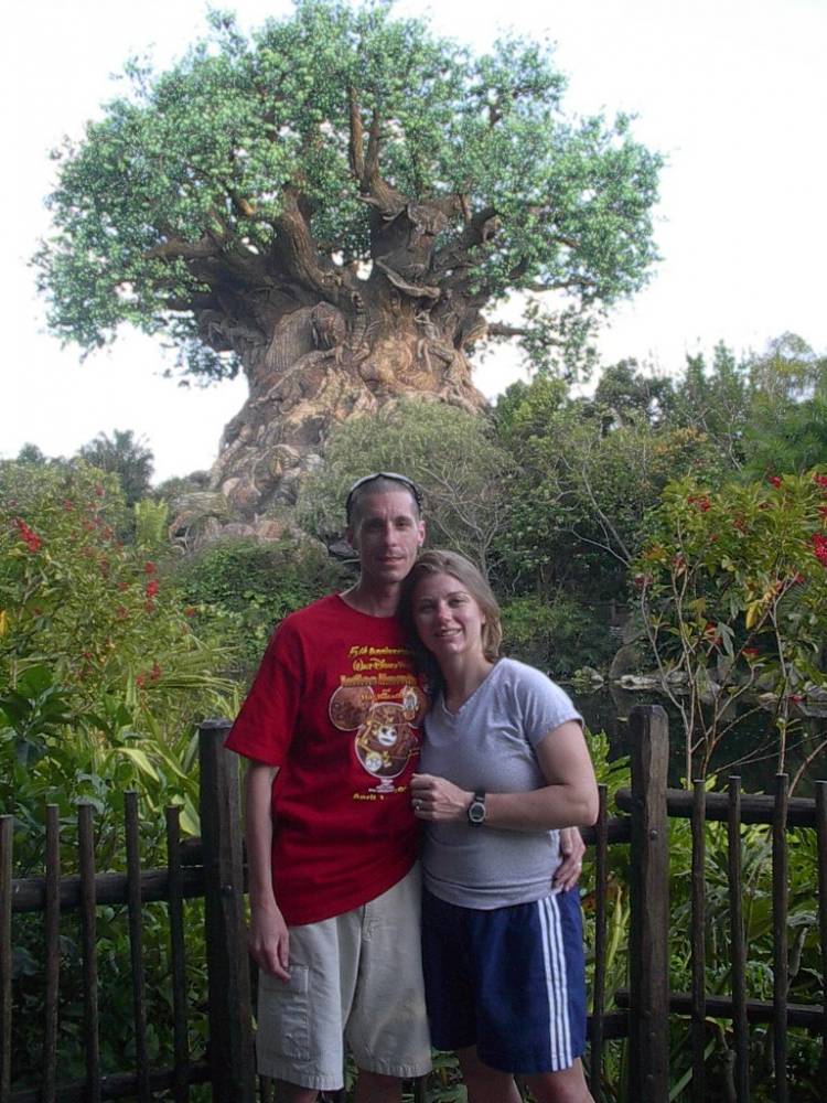 Tree of Life 2007