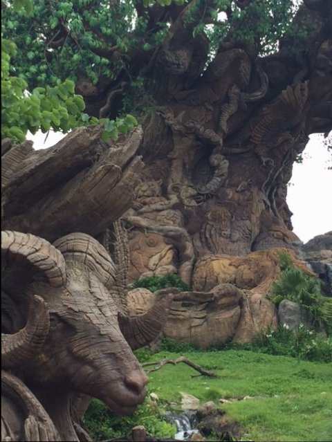 Tree Of Life 3 - AK 09-05-2017