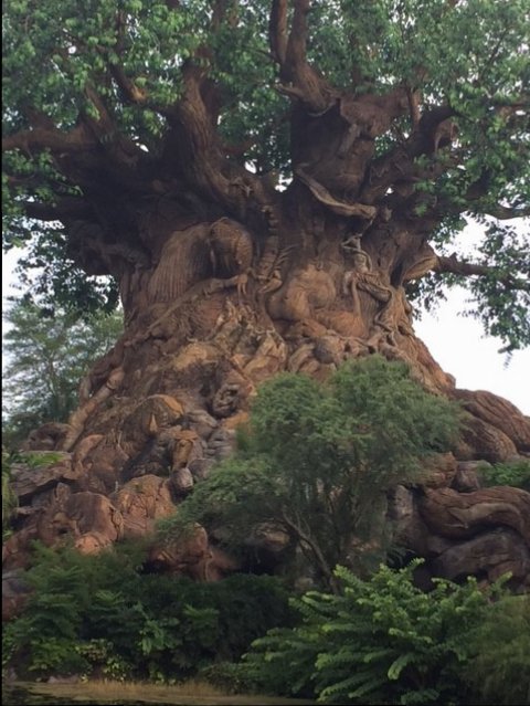Tree Of Life 4 - AK 09-05-2017