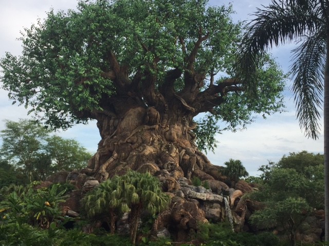 Tree Of Life 5 - AK 09-05-2017