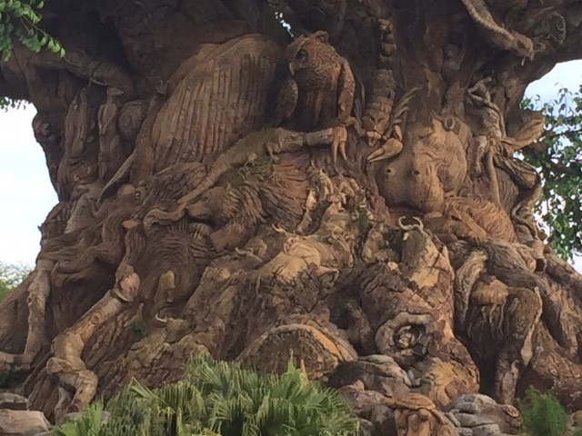 Tree Of Life 6 - AK 09-05-2017